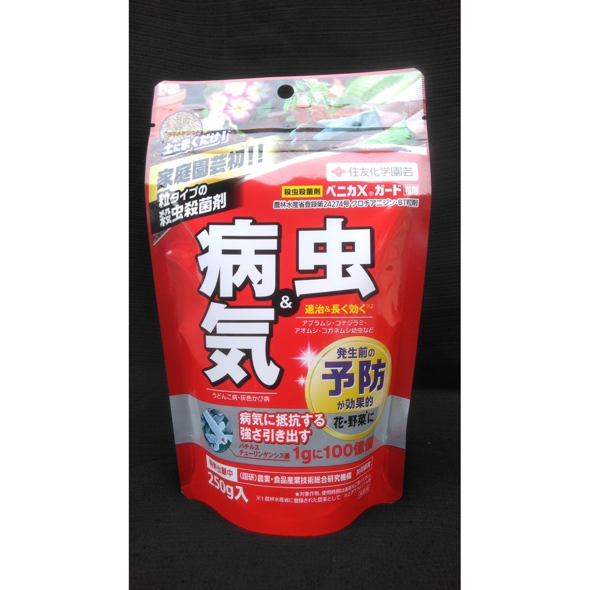 楽天市場 ベニカｘガード粒剤 250ｇ 01 取寄 ガーデニング用品 肥料 農薬 殺虫剤 手作り 材料 花材通販はなどんやアソシエ