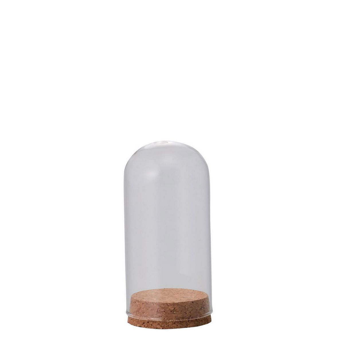 ガラスケース 2サイズセット コルクベース　各10個 ガラスケース 2サイズセット コルクベース 各10個