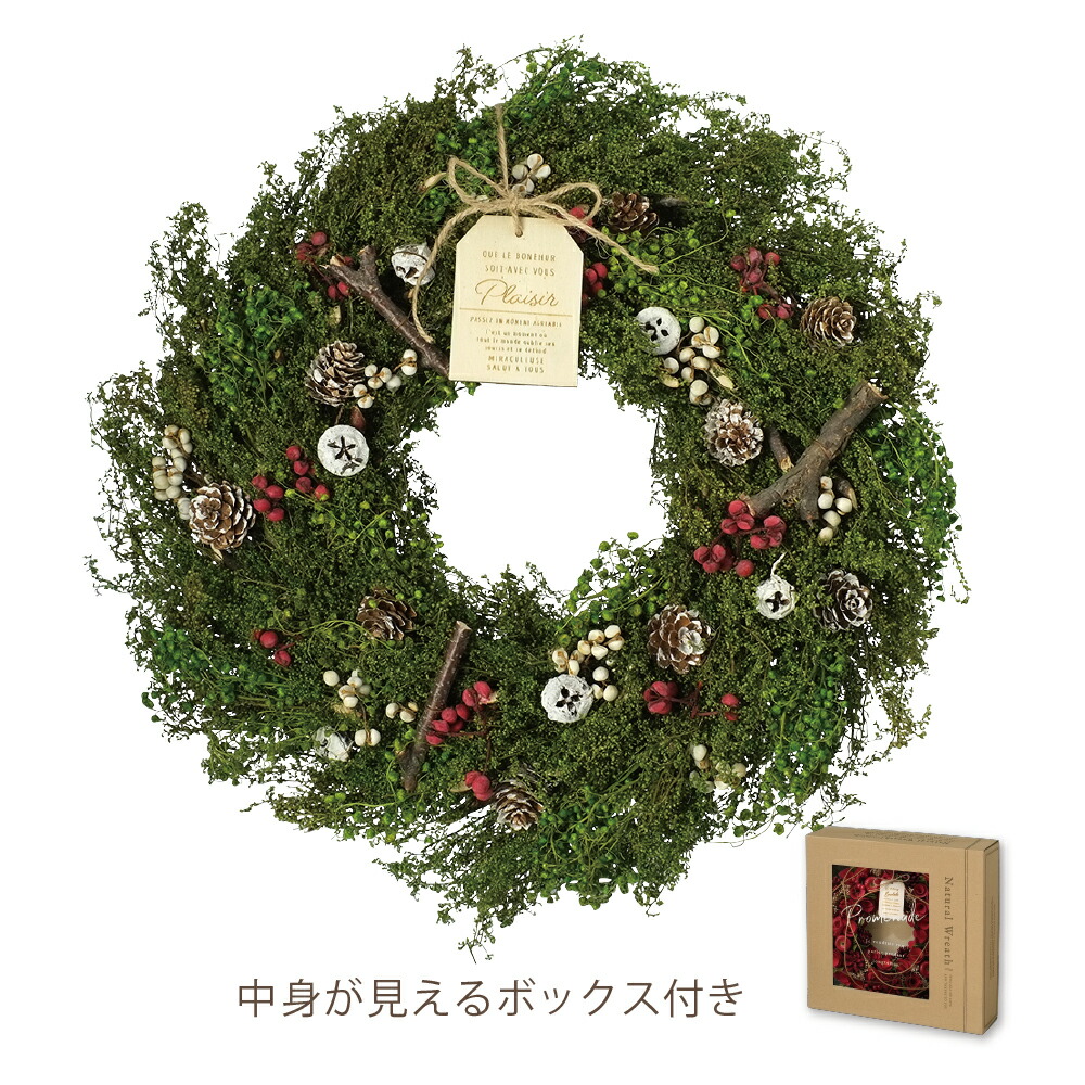 楽天市場 Greenhouse Cmナチュラルリース L 繊細な魅力 Cm1141 A 01 取寄 花材通販はなどんやアソシエ