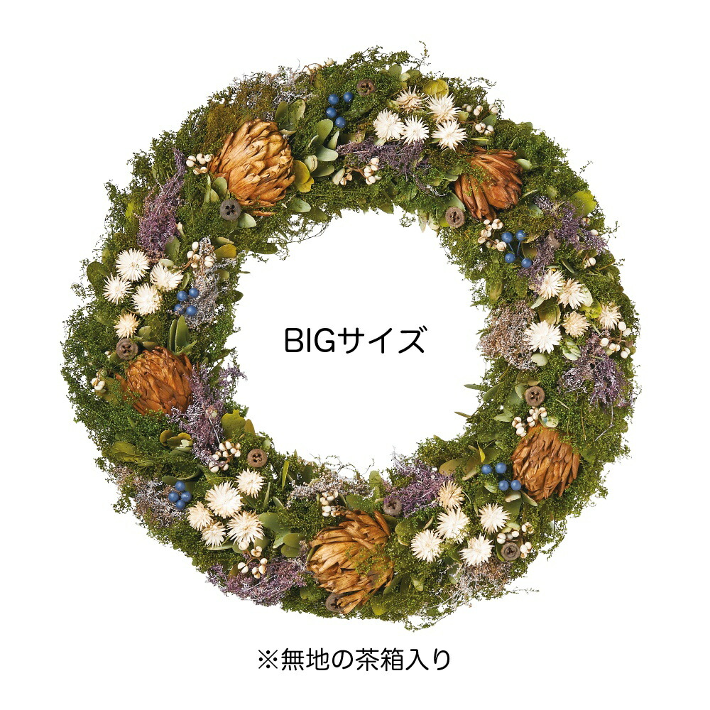 Greenhouse ビッグ賃借り アッシュフォレスト 4744 01 取寄 花器 リース リース終らす貫録 野性材料 手作り マテリアル Upntabasco Edu Mx