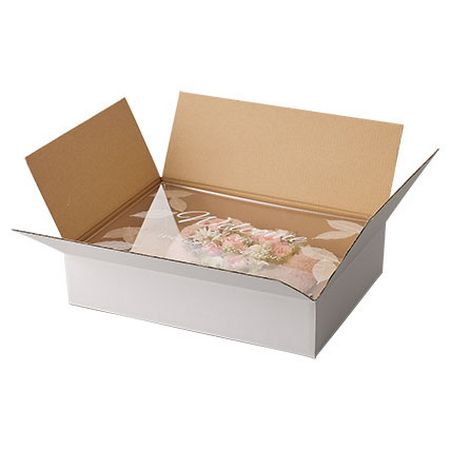 クレイ Cardboard Box For Aerial 幅48 960 703 100 01 取寄 5個 ラッピング用品 梱包資材 ラッピング箱 梱包箱 宅配ボックス 手作り 材料 Rvcconst Com