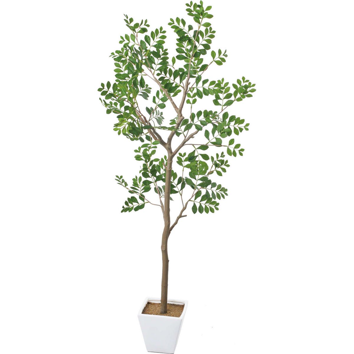 【直送】【人工観葉植物】YDM/トネリコツリー グリーン/GLA-1545-GR ※返品・代引・キャンセル不可【01】 造花 葉物 フェイクグリーン 人工観葉植物 人工樹木 高さ~150cmおしゃれ インテリア 店舗 オフィス 装飾 ディスプレイ|花材通販はなどんやアソシエ