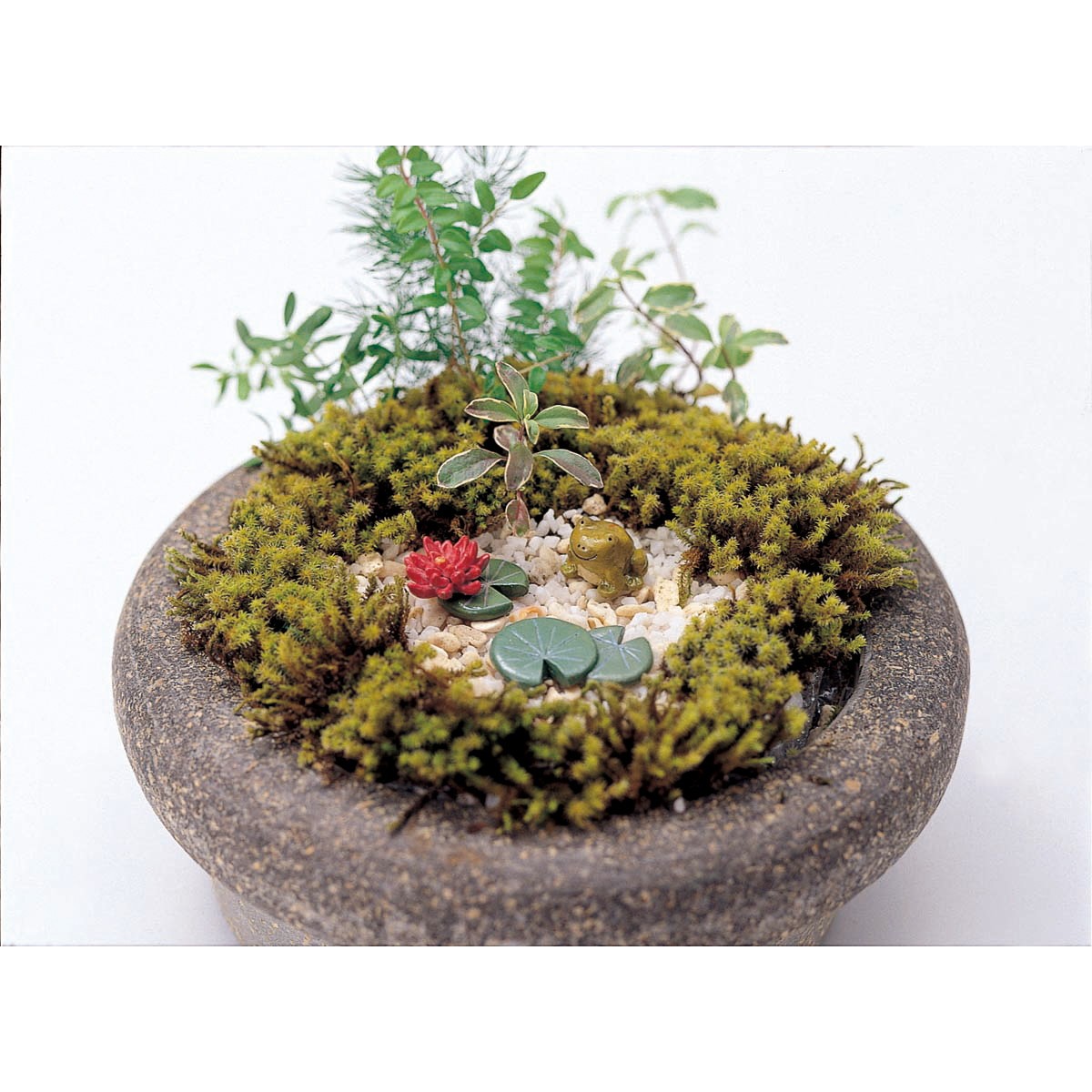 丸和貿易/ミニミニアニマルセット カエル/830040507【07】[12ケ] ガーデニング・園芸用品 ガーデニング雑貨・オーナメント ミニチュア 庭 グッズ 装飾 インテリア おしゃれ かわいい 小物 お月見 イースター ハロウィン