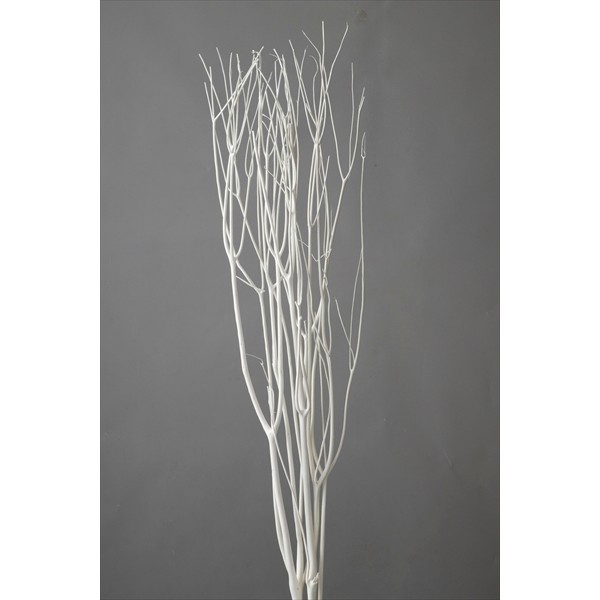 楽天市場】【直送】東花/うんりゅう柳 3本入り ホワイト/69001※返品