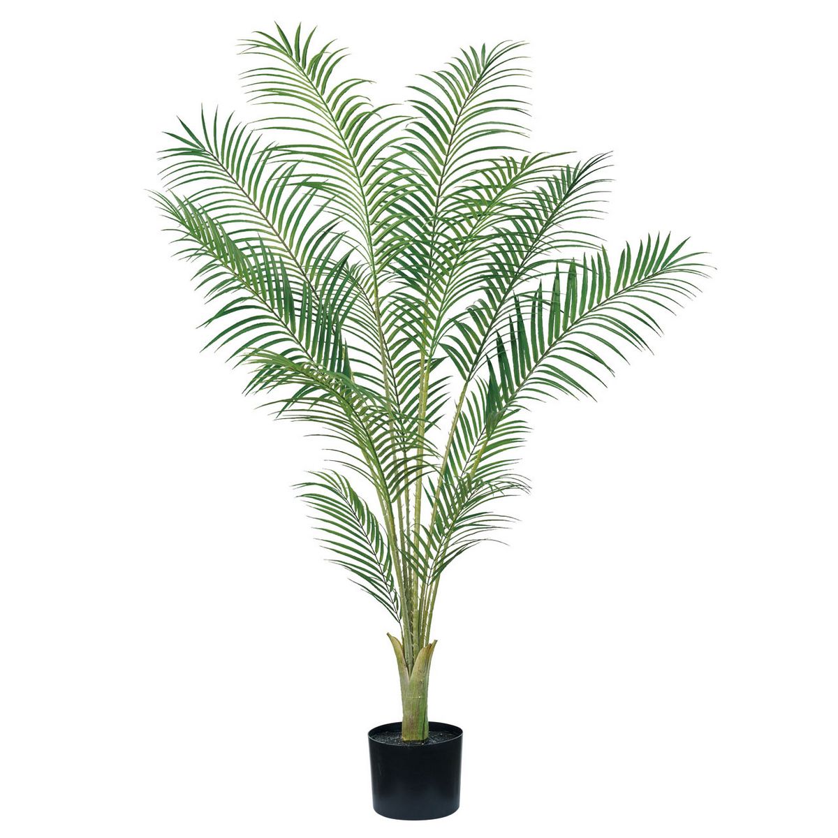 【人工観葉植物】MAGIQ東京堂/アレカパームポット5Ｆ(光触媒)/ZV001913 ※返品キャンセル不可【12】 造花 葉物 フェイクグリーン 人工観葉植物 人工樹木 高さ～150cmおしゃれ インテリア 店舗 オフィス 装飾 ディスプレイ