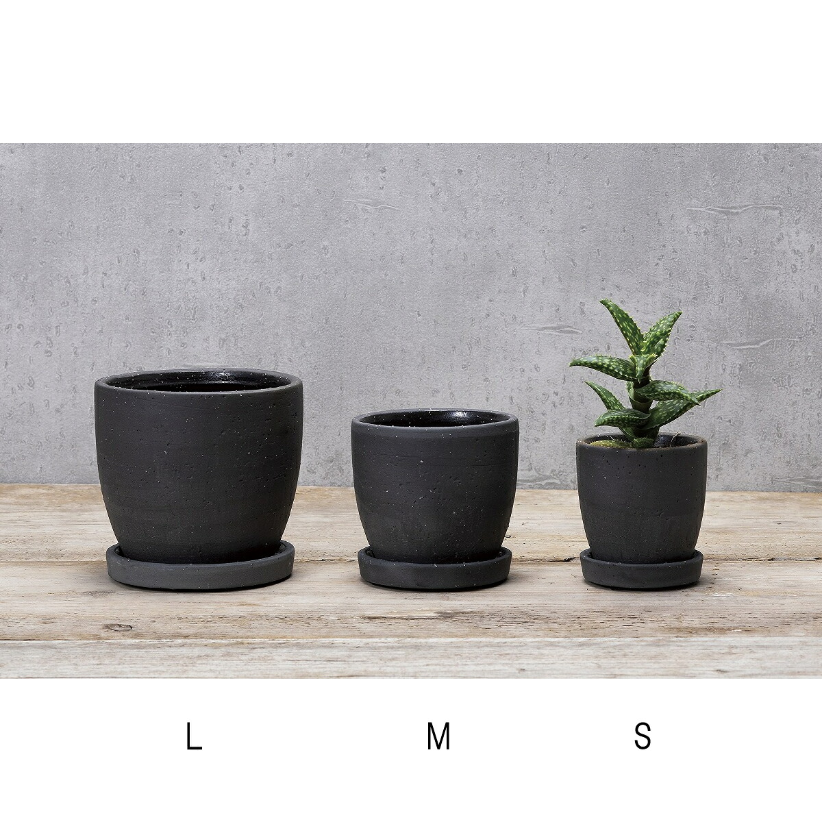 エイチツーオー/セントポット ラウンドＭ ブラック/HH31897【01】[4個] ガーデニング・園芸用品 植木鉢・フラワーポット 陶器・セラミック鉢 庭 グッズ 資材 家庭菜園 観葉植物 おしゃれ かわいい イースター ハロウィン バラの日 母の日