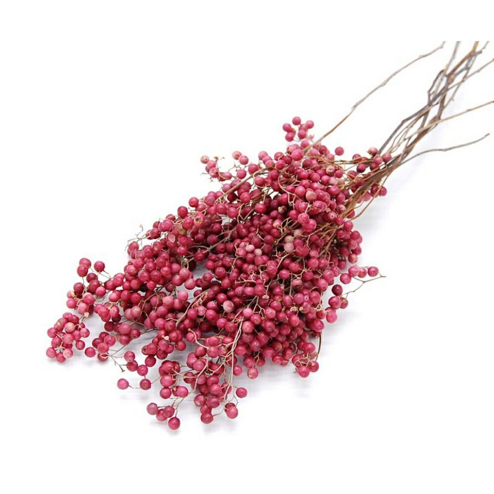 楽天市場】【ドライ】大地農園/サンキライの実・チップ 約15g レッド