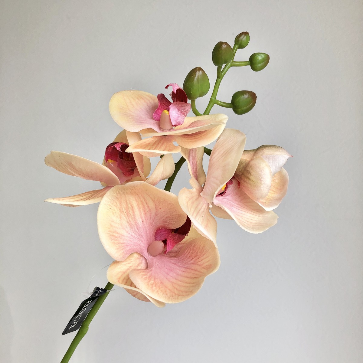 楽天市場】【造花】アスカ/コチョウラン×5 つぼみ×5 ピーチ