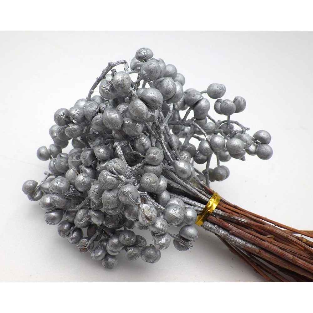 楽天市場】【ドライ】大地農園/ナンキンハゼ・ステム付き 約60g N