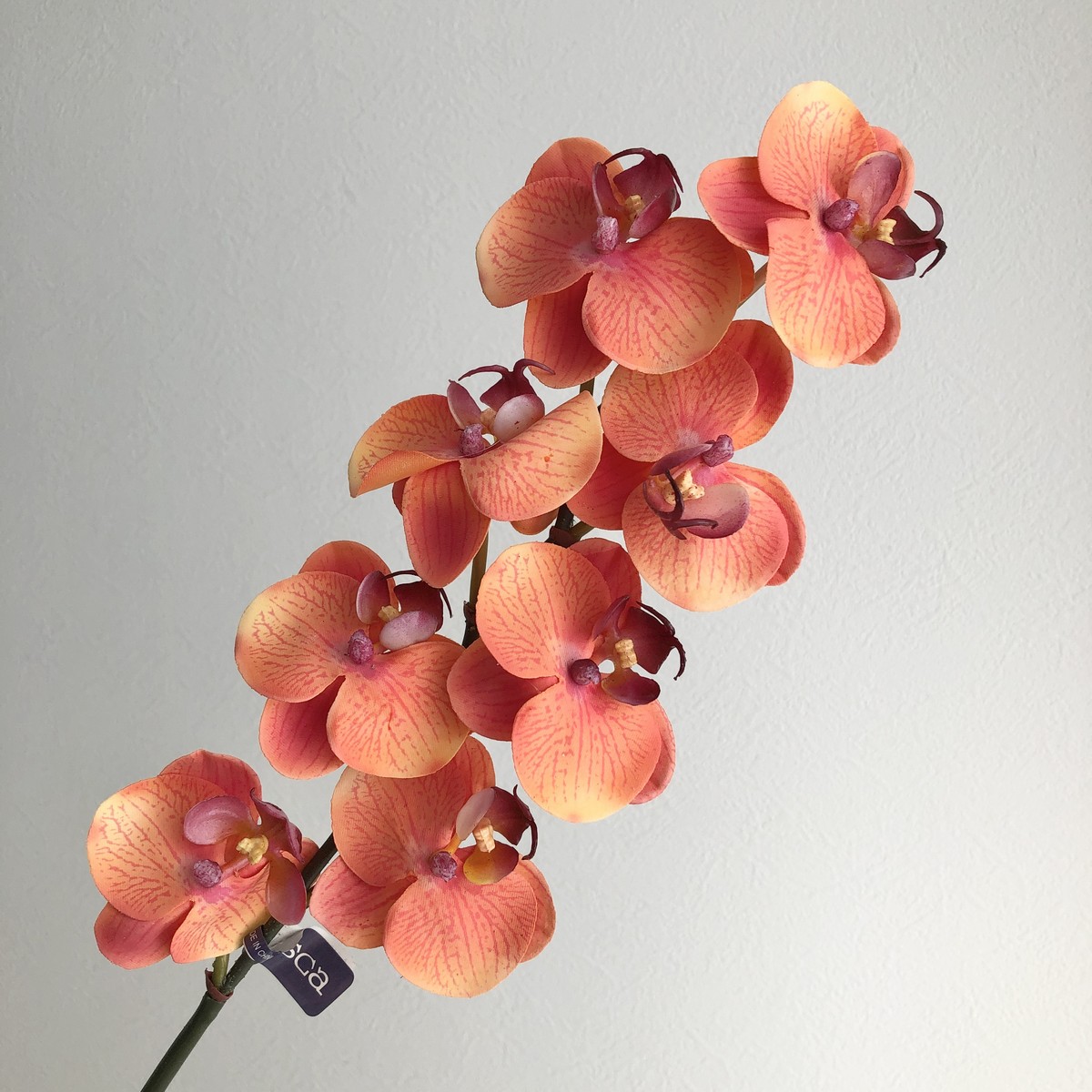 ファレノプシスアーティフィシャルフラワー ファレノプシス(胡蝶蘭) | パレフローラ公式通販｜アーティフィシャル