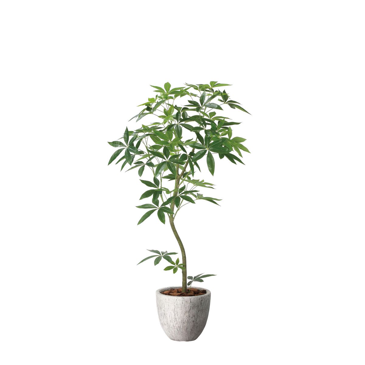 【直送】 【人工観葉植物】光の楽園/光触媒 ナチュラルパキラ1.6/2400P580 ※返品・代引・キャンセル不可【21】 造花 アーティフィシャルフラワー 造花葉物 造花・人工観葉植物 高さ～200cm フラワーアレンジ花材 おしゃれ ハンドメイド材料