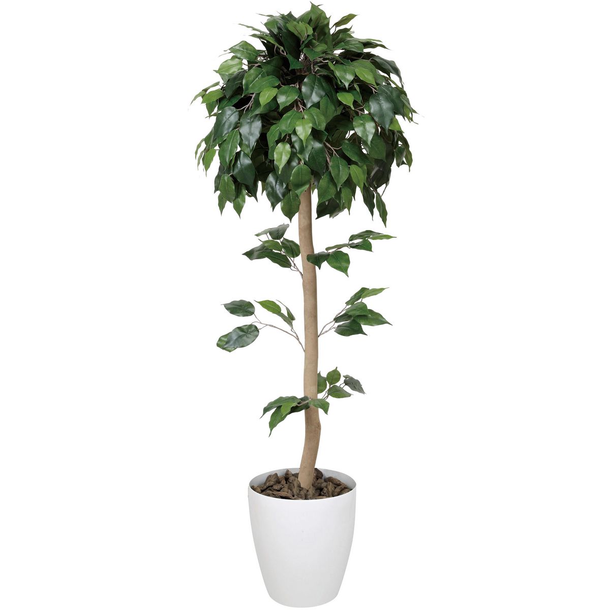 【直送】 【人工観葉植物】光の楽園/光触媒 ベンジャミントピアリー 1.2/372B180 ※返品・代引・キャンセル不可【21】 造花 葉物 フェイクグリーン 人工観葉植物 人工樹木 高さ～150cmおしゃれ インテリア 店舗 オフィス 装飾 ディスプレイ
