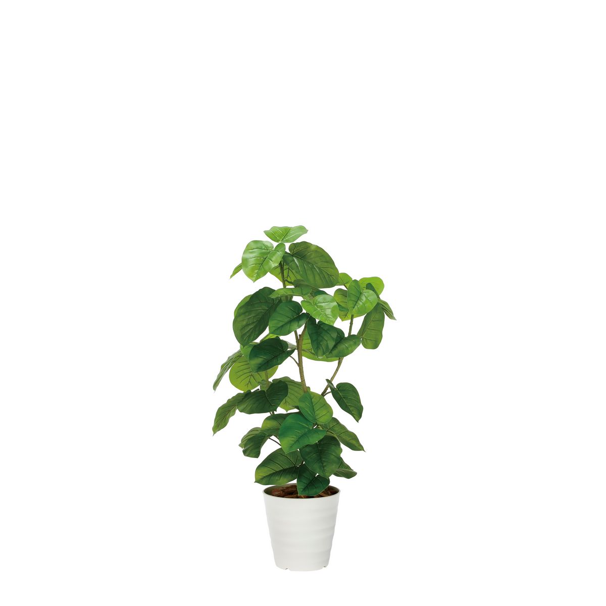 【直送】 【人工観葉植物】光の楽園/光触媒 フレッシュＤＸウンベラータ1.3/2327A480 ※返品・代引・キャンセル不可【21】 造花 葉物 フェイクグリーン 人工観葉植物 人工樹木 高さ～150cmおしゃれ インテリア 店舗 オフィス 装飾 ディスプレイ｜花材通販はなどんやアソシエ