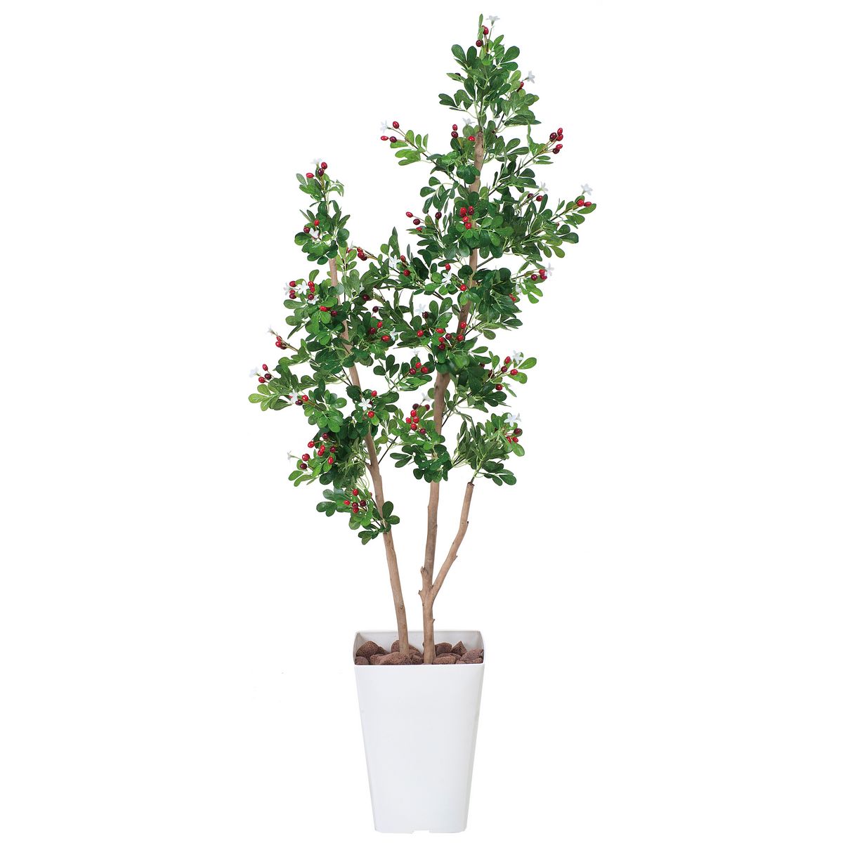 【直送】 【人工観葉植物】光の楽園/光触媒 ハックルベリー1.25/366C220 ※返品・代引・キャンセル不可【21】 造花 葉物 フェイクグリーン 人工観葉植物 人工樹木 高さ～150cmおしゃれ インテリア 店舗 オフィス 装飾 ディスプレイ｜花材通販はなどんやアソシエ