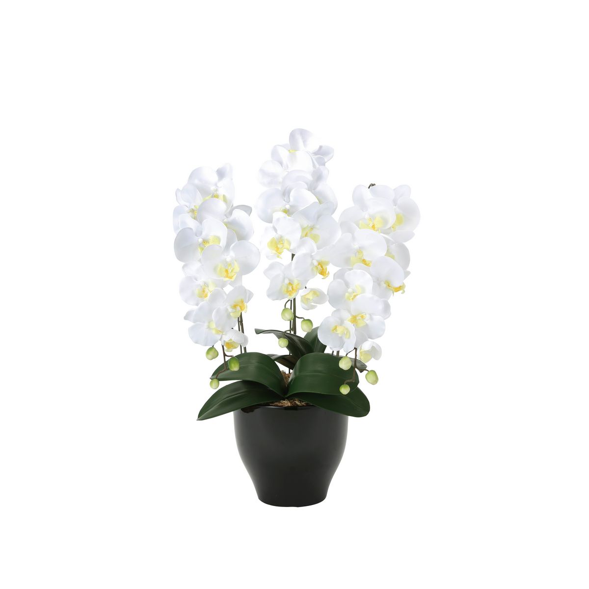 【直送】 【造花】光の楽園/光触媒 胡蝶蘭セリースＷ/20K120 ※返品・代引・キャンセル不可【21】 造花 アーティフィシャルフラワー 造花ギフト 胡蝶蘭（鉢）フェイクフラワー フラワーアレンジ花材 おしゃれ ハンドメイド材料 クラフト素材 装飾