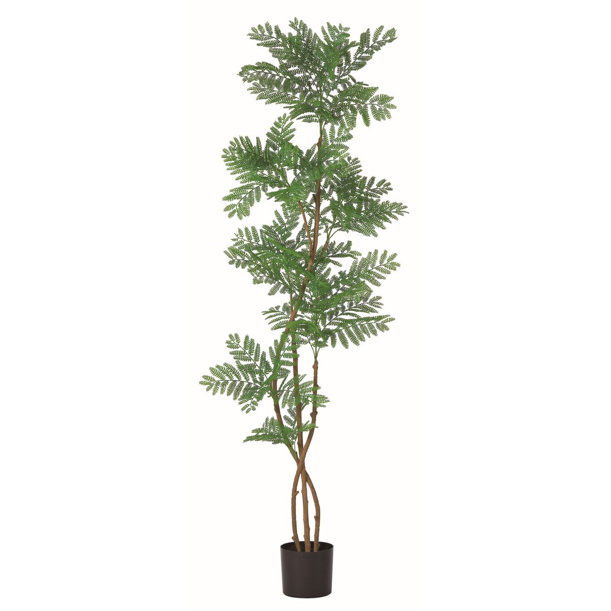 【直送】 【人工観葉植物】アスカ/エバーフレッシュ（ポット付） グリーン/A-51135-51A ※返品・代引・キャンセル不可【01】 造花 葉物 フェイクグリーン 人工観葉植物 人工樹木 高さ200cm～おしゃれ インテリア 店舗 オフィス 装飾 ディスプレイ｜花材通販はなどんやアソシエ