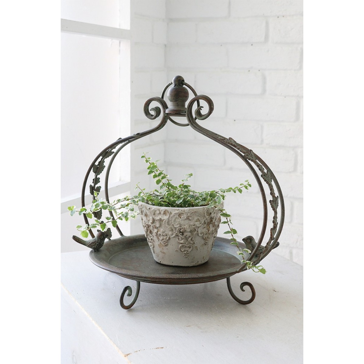 花台　コブ 送料無料 栃コブの花台 002 | 秋山郷 本物無垢の輪切りテーブル発祥の