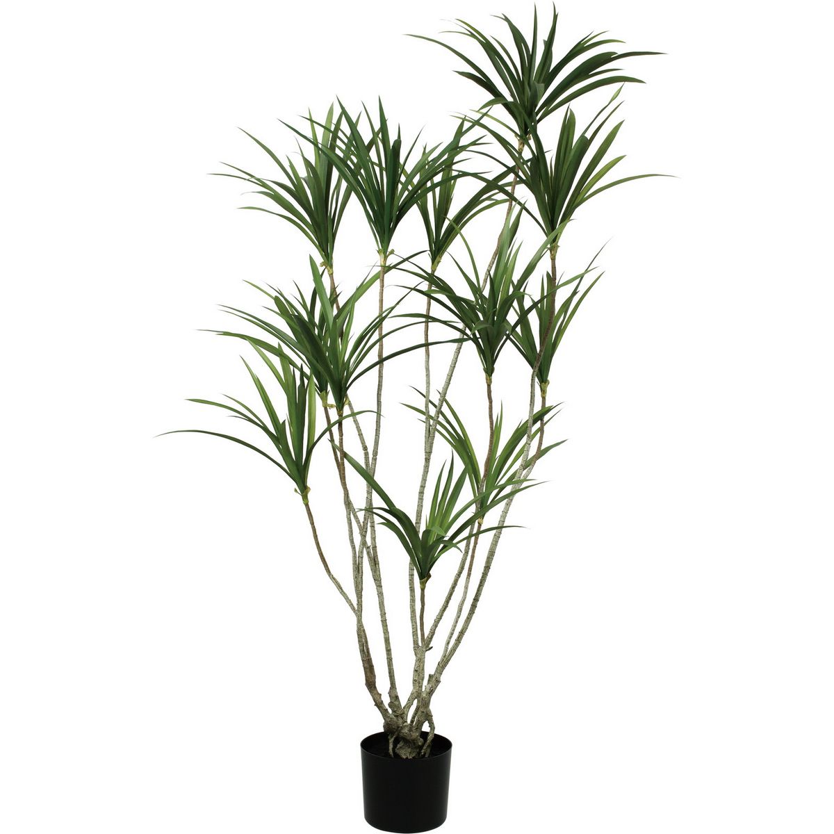【直送】【人工観葉植物】YDM/140ｃｍドラセナポット グリーン/GLP-1576-GR ※返品・代引・キャンセル不可【01】 造花 葉物 フェイクグリーン 人工観葉植物 人工樹木 高さ～150cmおしゃれ インテリア 店舗 オフィス 装飾 ディスプレイ｜花材通販はなどんやアソシエ