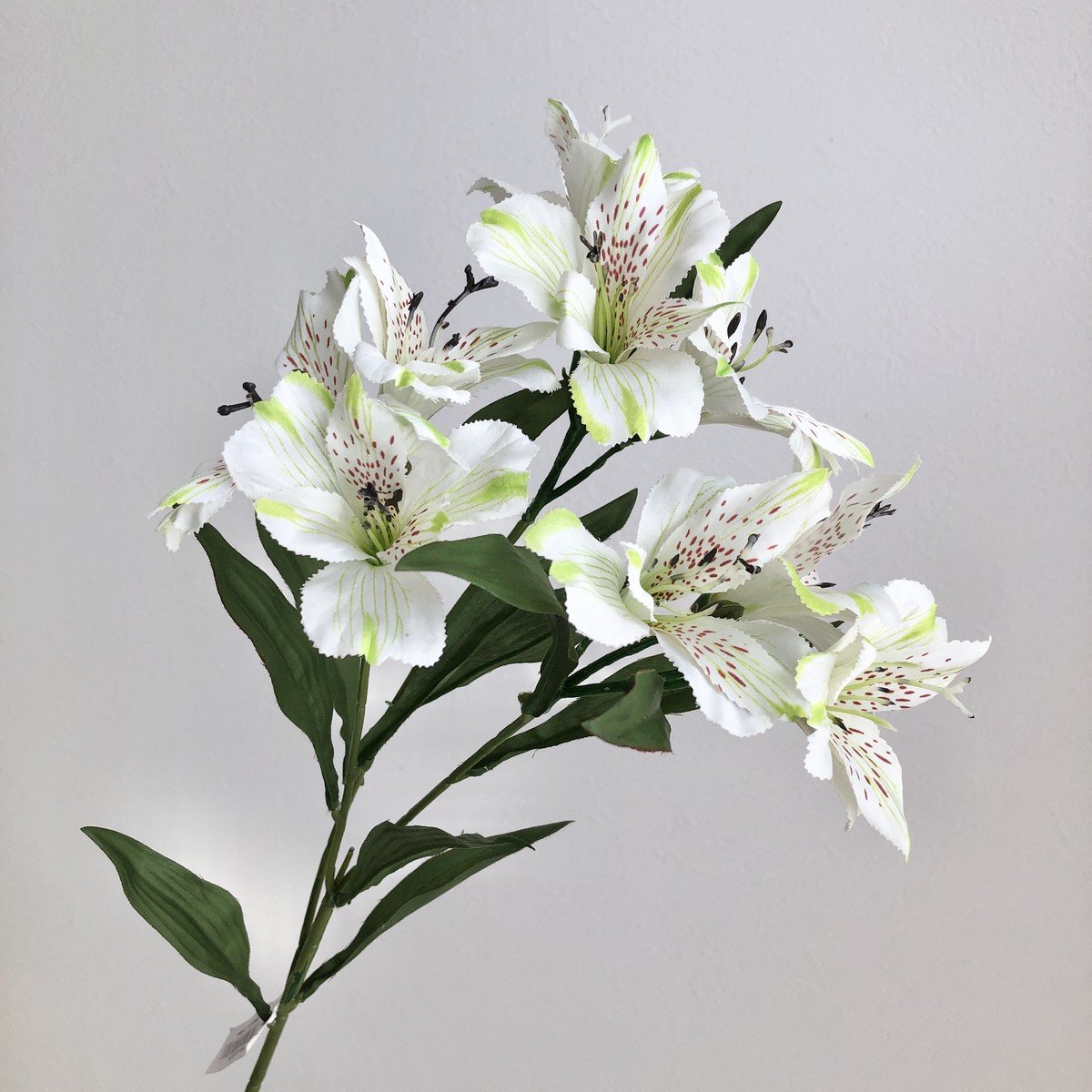 楽天市場】【造花】YDM/ブライトアルストロメリア イエロー/FA-7525-Y