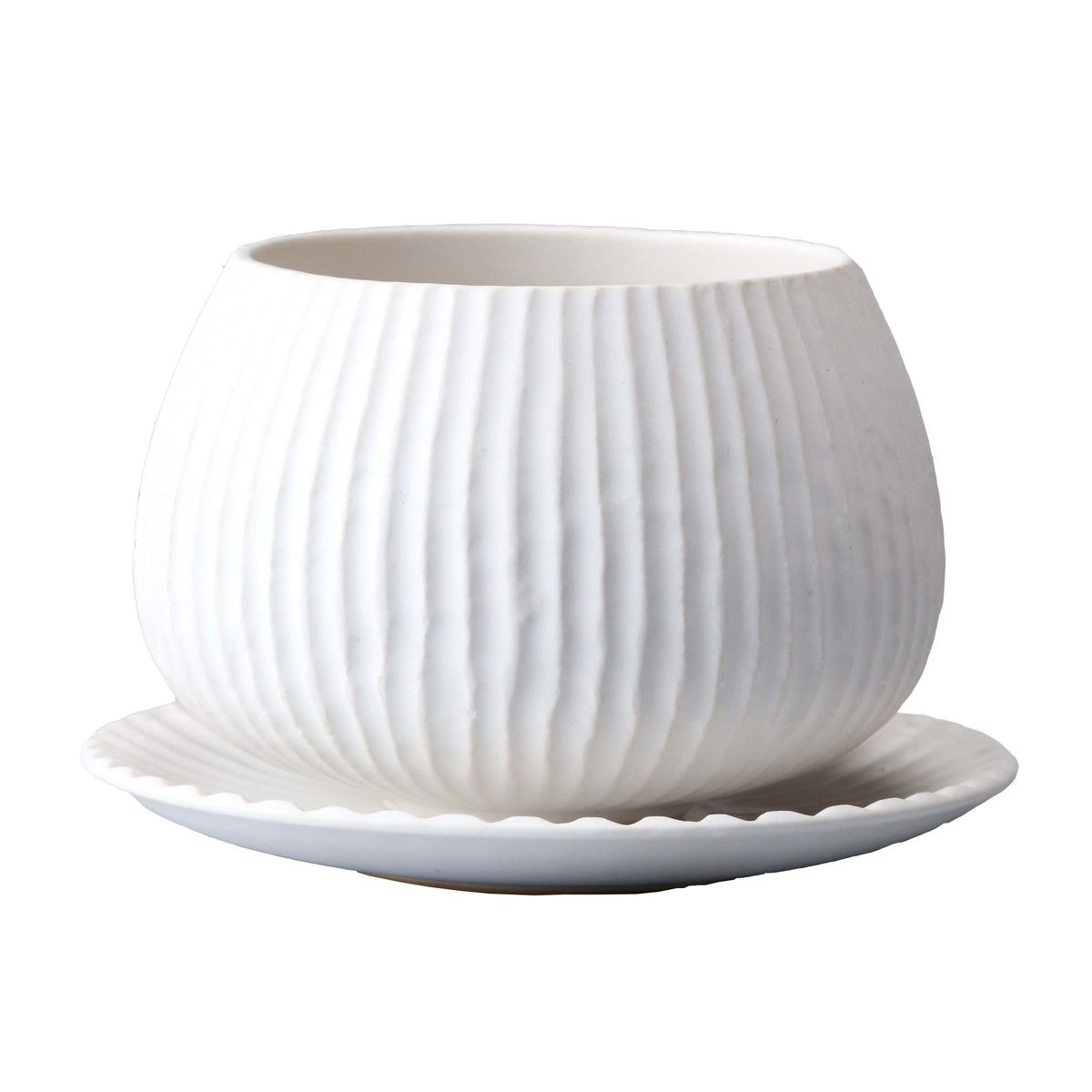 ミュールミル/ラピスボウル白S/CQ-032Wh【01】[8個] ガーデニング・園芸用品 植木鉢・フラワーポット 陶器・セラミック鉢 庭 グッズ 資材 家庭菜園 観葉植物 おしゃれ かわいい イースター ハロウィン 母の日 バラの日｜花材通販はなどんやアソシエ