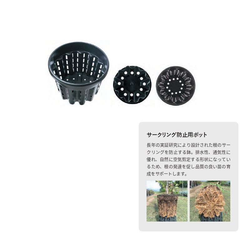 グリーンポット/ナーセリーポット エルコール 55cm/PQ-ER55【08】[5個] ガーデニング・園芸用品 植木鉢・フラワーポット プラスチック鉢 庭 グッズ 資材 家庭菜園 観葉植物 おしゃれ かわいい 母の日｜花材通販はなどんやアソシエ