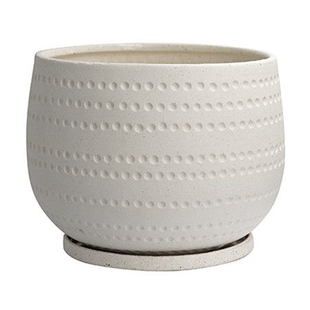 グリーンポット/エスビューク シャロー ホワイト 23cm/YJ-2723WH【07】[4個] ガーデニング・園芸用品 植木鉢・フラワーポット 陶器・セラミック鉢 庭 グッズ 資材 家庭菜園 観葉植物 おしゃれ かわいい イースター ハロウィン 母の日 バラの日 17,449円