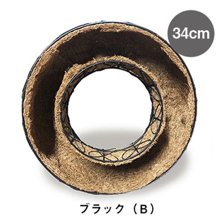 夏特集