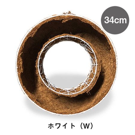 夏特集