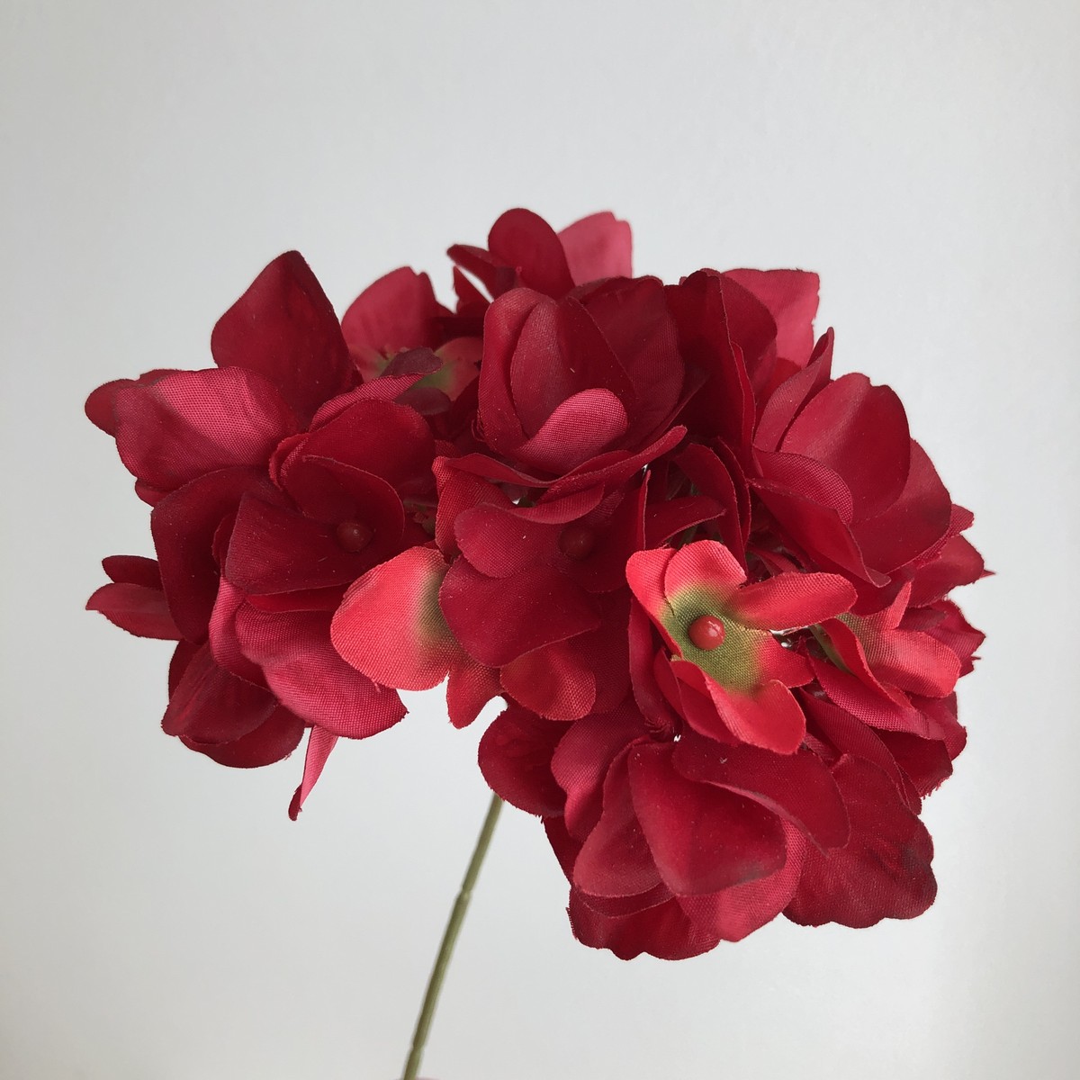 造花 その技術と応用　【希少品】 楽天市場】造花 菊 スパイダーマム ニードルマム 糸菊