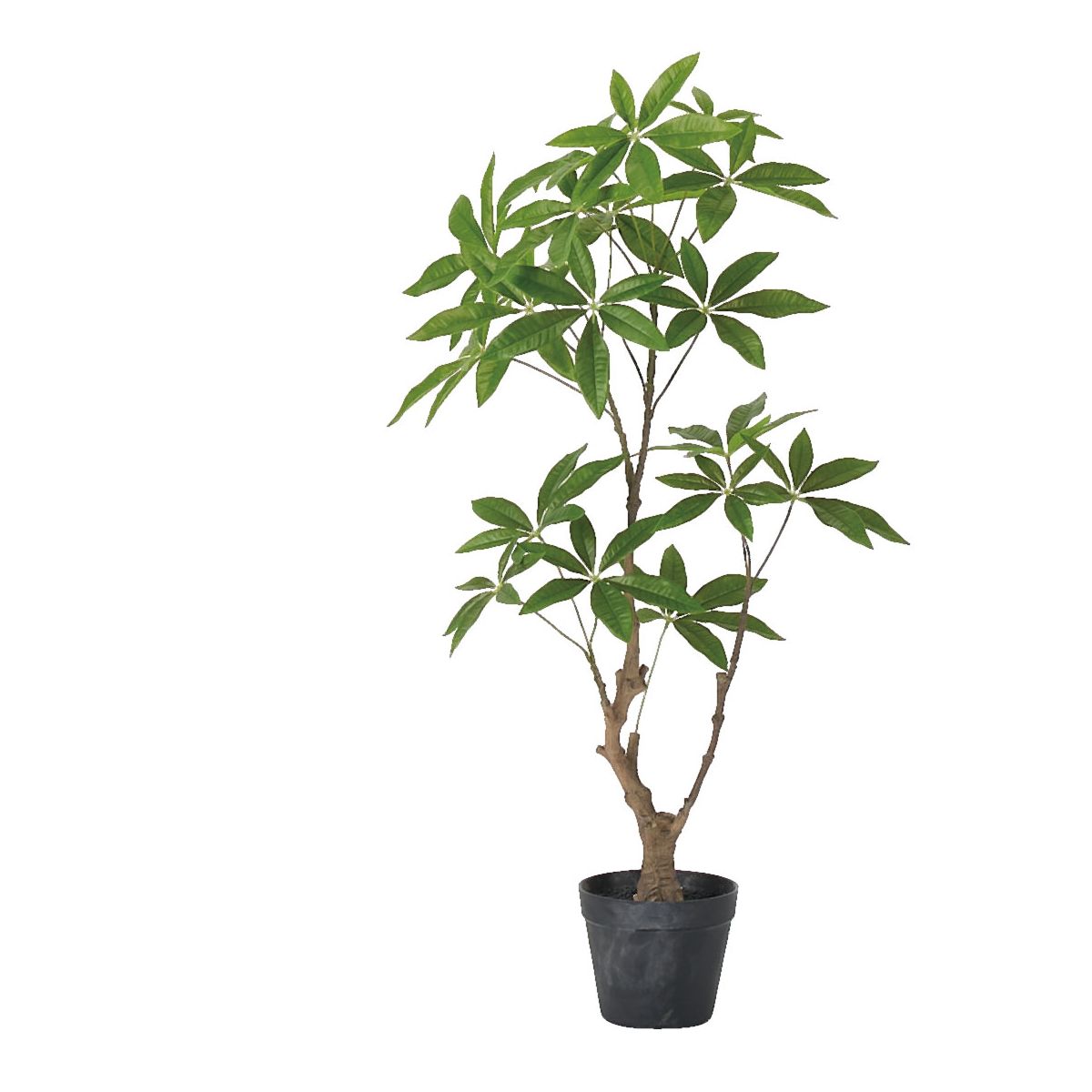 【人工観葉植物】アスカ/パキラ(ポット付) グリーン/A-51136-51A【01】 造花（アーティフィシャルフラワー） 葉物 造花・人工観葉植物 高さ～100cm フェイクグリーン インテリア 卓上 ミニサイズ コンパクト ディスプレイ 装飾 業務用 店舗装飾
