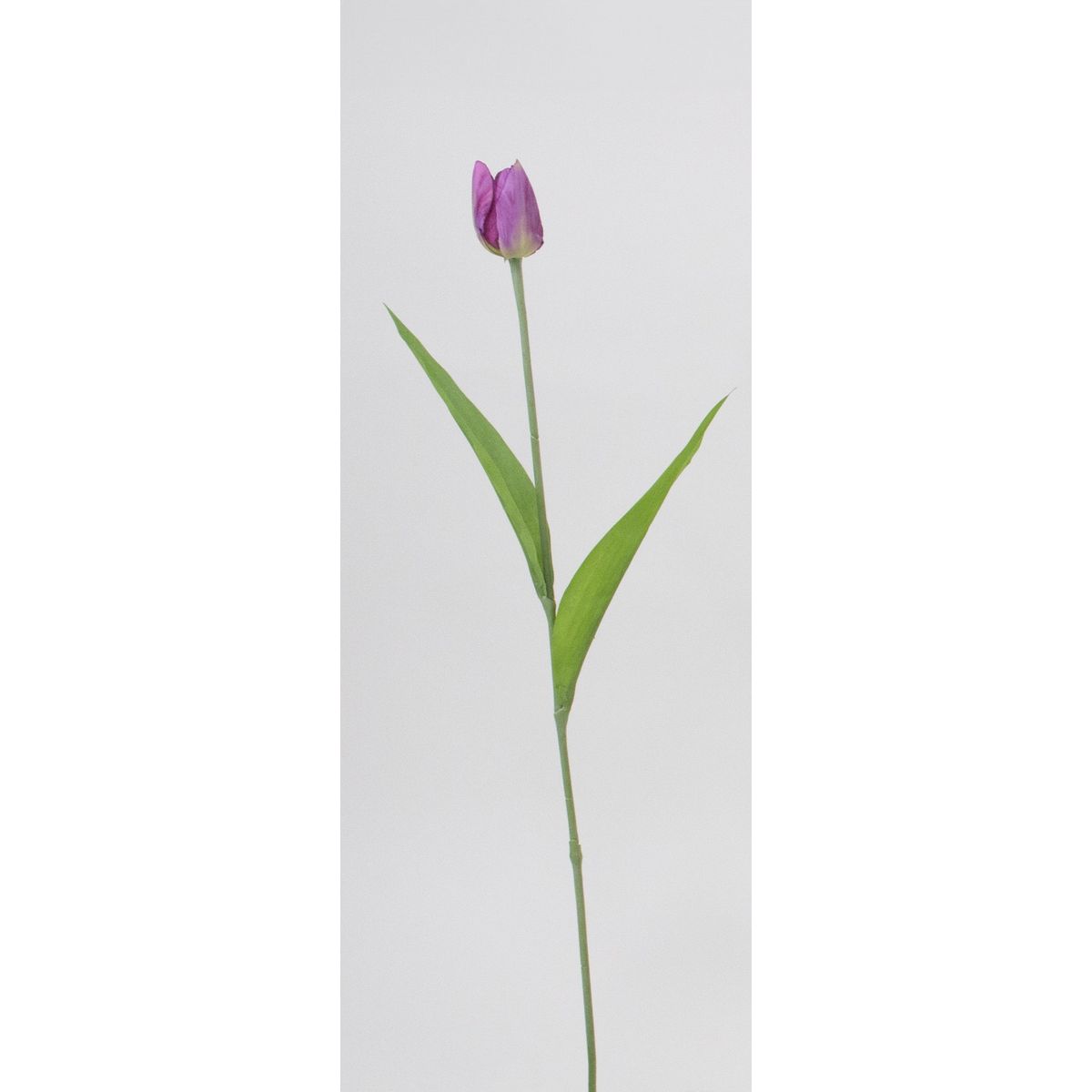 【造花】ビダヤコム/チアリーチューリップ フーシャ/V25027-044FUC【01】[24本] 造花 アーティフィシャルフラワー チューリップフェイクフラワー フラワーアレンジ花材 おしゃれ ハンドメイド材料 クラフト素材 装飾 ディスプレイ 春 夏 秋