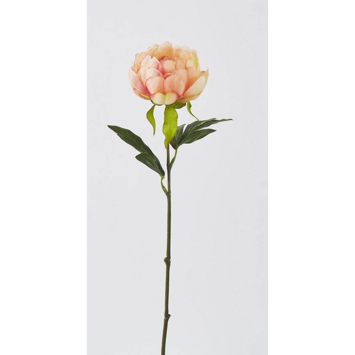 【造花】ビダヤコム/アロマピオニー ピーチ/FD3368-006PEA【01】[24本] 造花（アーティフィシャルフラワー） シャクヤク（芍薬）・ボタン（牡丹）・ピオニー 牡丹 ピオニー フェイクフラワー シルクフラワー インテリア 花材 資材 ディスプレイ 7,110円