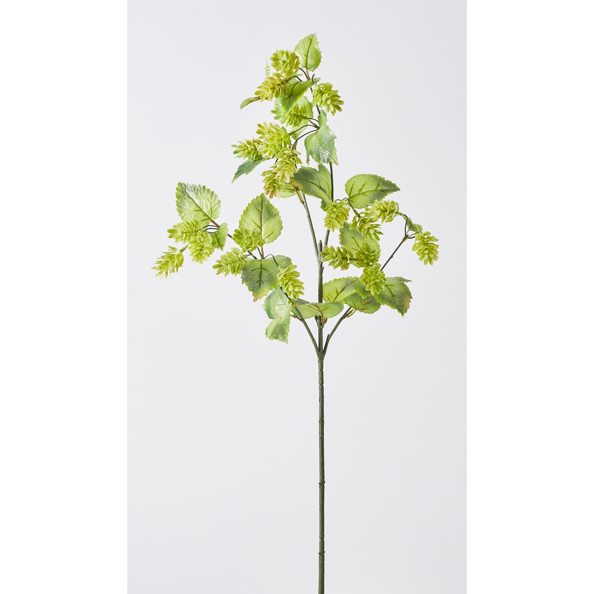 【造花】ビダヤコム/ホップブランチ グリーン/V22079-024G【01】[12本] 造花 アーティフィシャルフラワー ホップフェイクフラワー フラワーアレンジ花材 おしゃれ ハンドメイド材料 クラフト素材 装飾 ディスプレイ 夏 ブライダル｜花材通販はなどんやアソシエ