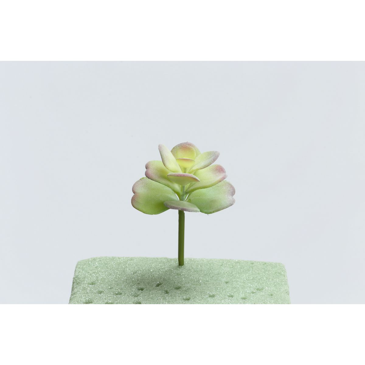【造花】ビダヤコム/サッカラン グリーン/T0217-024G【01】[24本] 造花 アーティフィシャルフラワー 葉物、フェイクグリーン 多肉植物人工 フラワーアレンジ花材 おしゃれ ハンドメイド材料 クラフト素材 装飾 ディスプレイ 夏 ブライダル 成人式