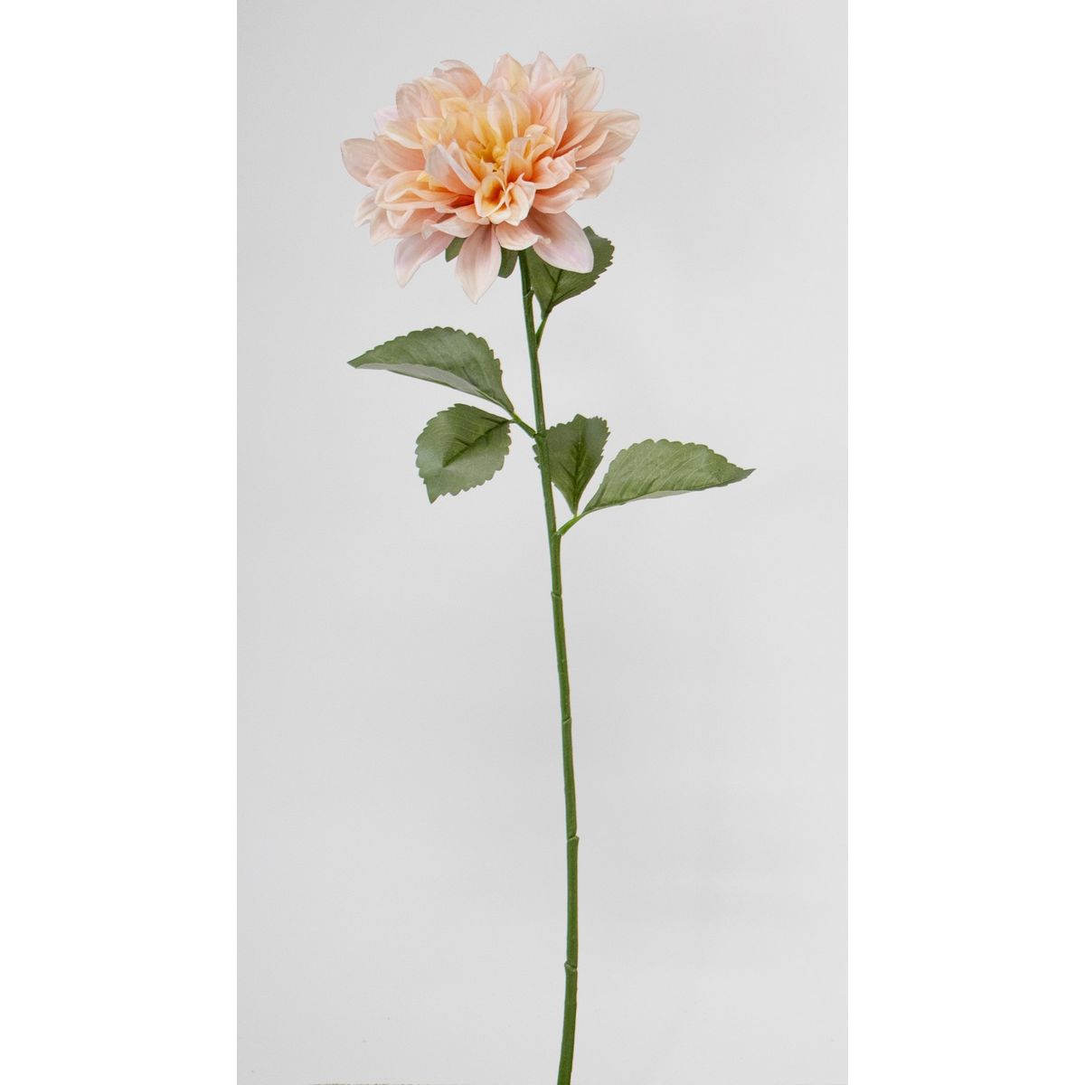 【造花】ビダヤコム/マジェスティクダリア ピーチ/V25028-006PEA【01】[12本] 造花 アーティフィシャルフラワー 造花 「た行」 ダリア フェイクフラワー フラワーアレンジ花材 おしゃれ ハンドメイド材料 クラフト素材 装飾 ディスプレイ お供え 6,786円
