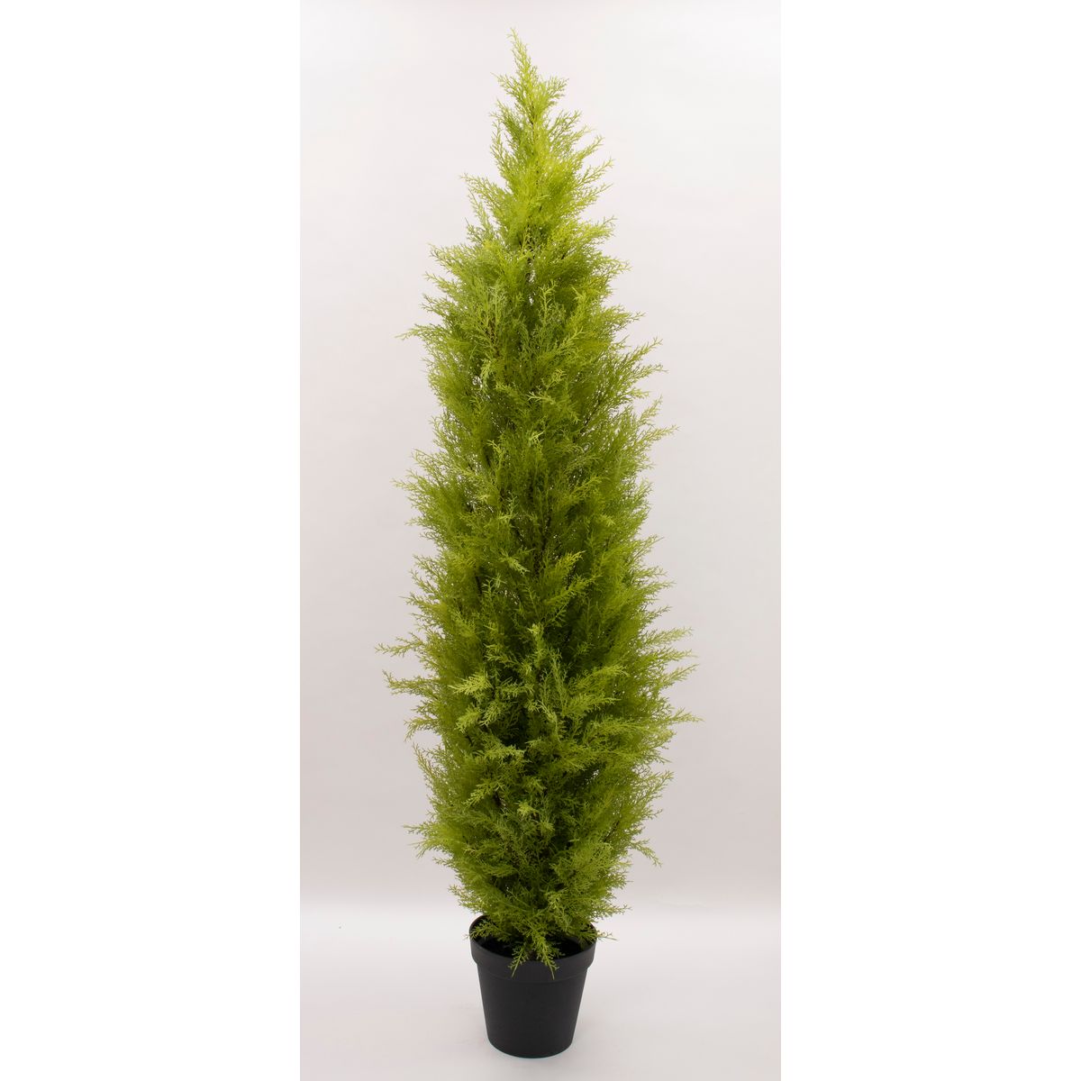 【直送】【人工観葉植物】ビダヤコム/ゴールドクレストポット(ＸＬ) グリーン/FD3166-024G ※返品・代引・キャンセル不可【01】 造花 アーティフィシャルフラワー 造花葉物 造花・人工観葉植物 高さ～200cm フラワーアレンジ花材 おしゃれ 44,220円