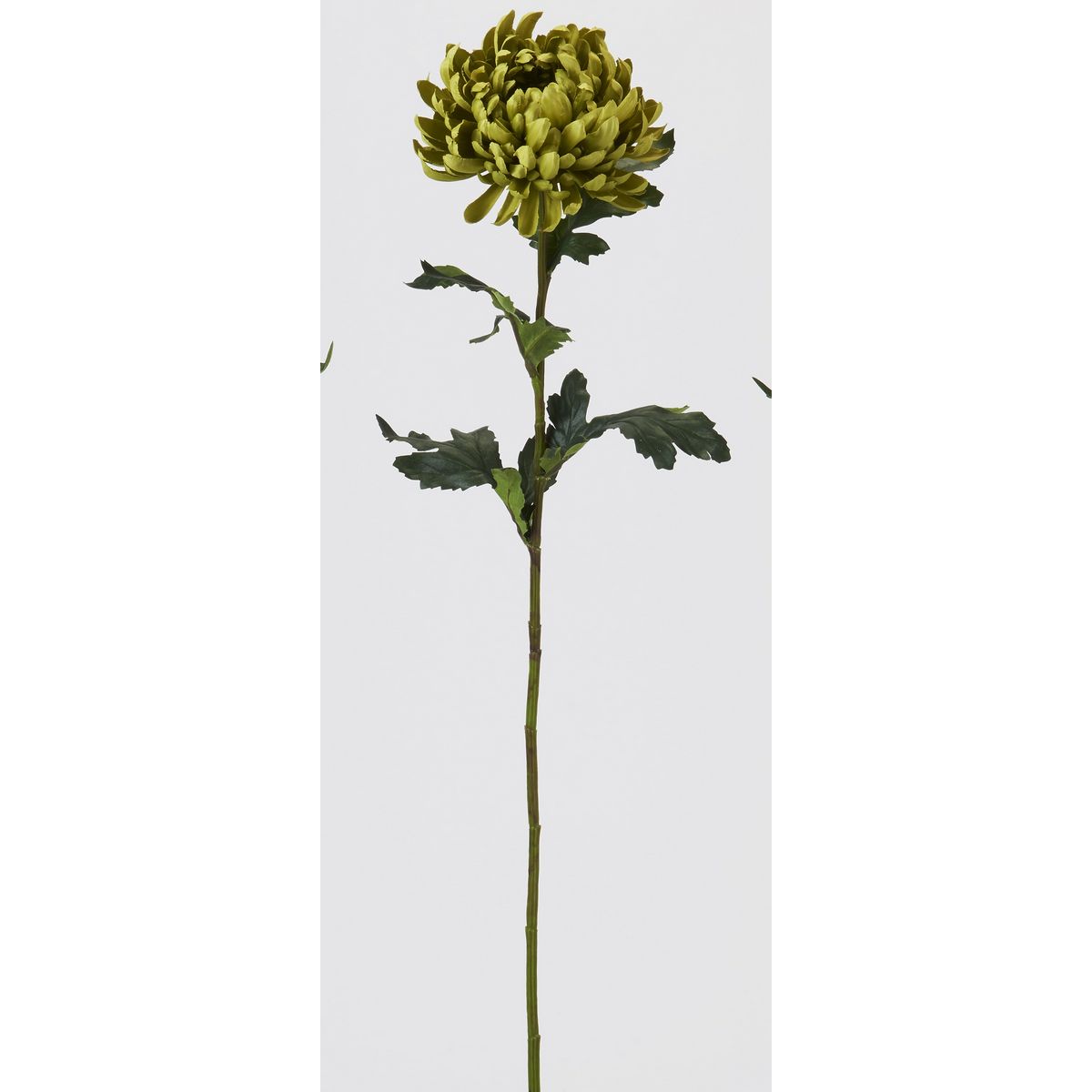 【造花】ビダヤコム/皇帝菊 グリーン/GA0246-024G【01】[12本] 造花（アーティフィシャルフラワー） キク（菊）・ピンポンマム フェイクフラワー シルクフラワー インテリア 花材 資材 ディスプレイ 装飾 アレンジメント ブーケ 業務用 店舗装飾