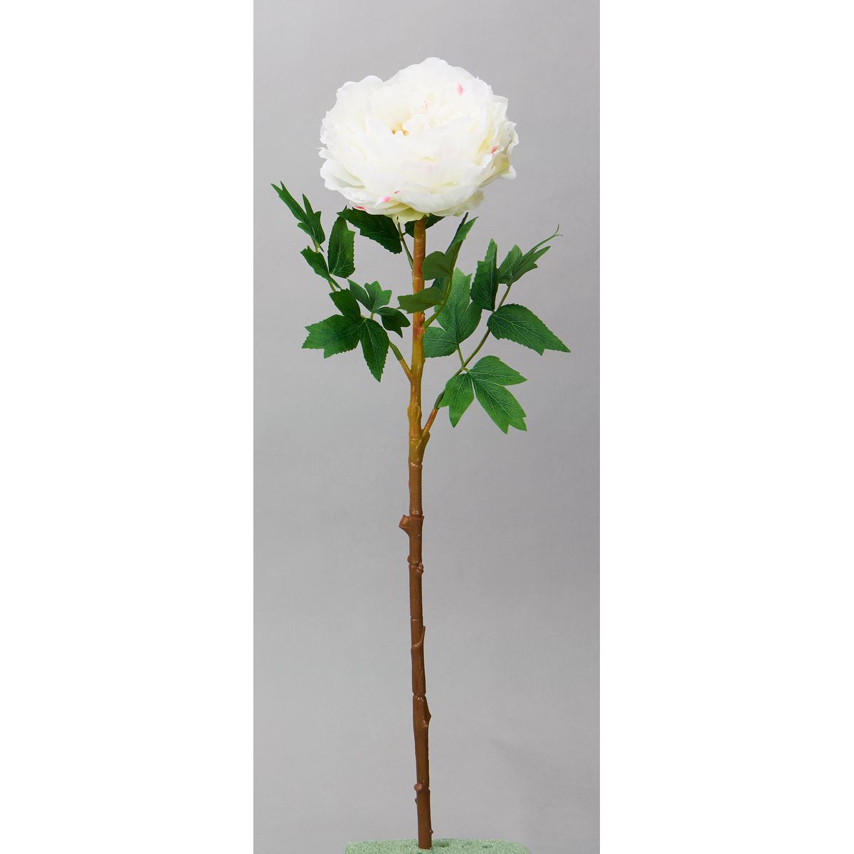 【造花】ビダヤコム/クイーンピオニー ホワイト/TC0001-001W【01】[12本] 造花（アーティフィシャルフラワー） シャクヤク（芍薬）・ボタン（牡丹）・ピオニー 牡丹 ピオニー フェイクフラワー シルクフラワー インテリア 花材 資材 ディスプレイ