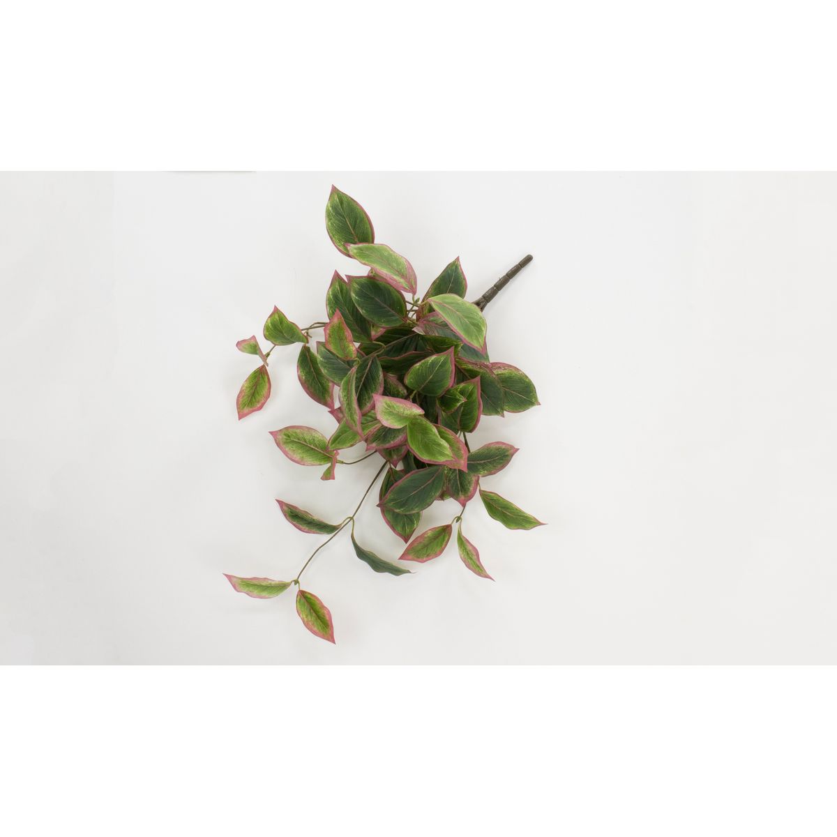 【造花】ビダヤコム/Planeco アグラオネマバイン レッド/グリーン/VR23097-251R/G【01】[6本] 造花 アーティフィシャルフラワー 葉物、フェイクグリーン その他の造花葉物・フェイクグリーン人工 フラワーアレンジ花材 おしゃれ ハンドメイド材料｜花材通販はなどんやアソシエ