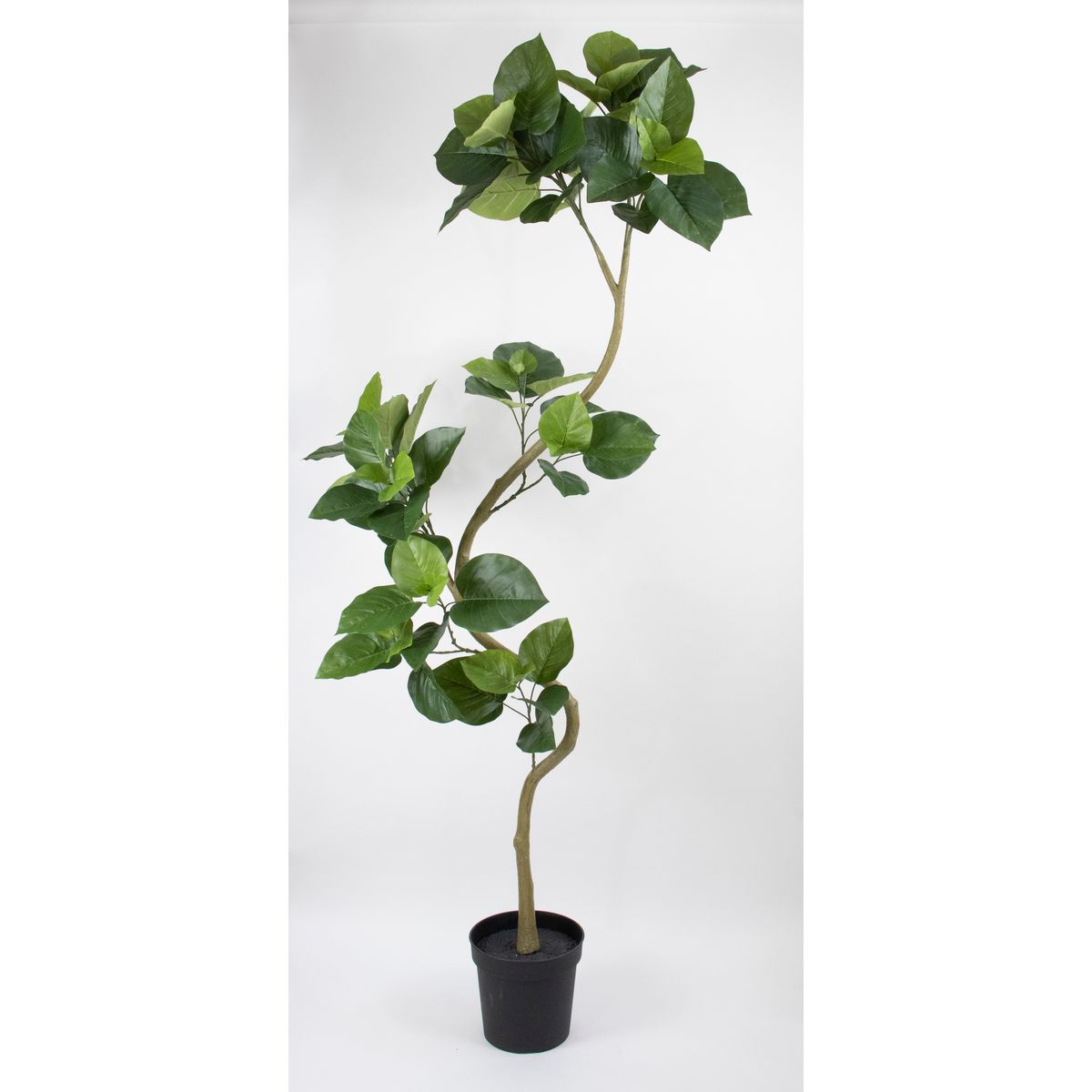 【直送】【人工観葉植物】ビダヤコム/Planecoツイストウンベラータポット組立式/VR23099-024G※返品代引キャンセル不可【01】 造花 アーティフィシャルフラワー 造花葉物 造花・人工観葉植物 高さ200cm～ フラワーアレンジ花材 おしゃれ