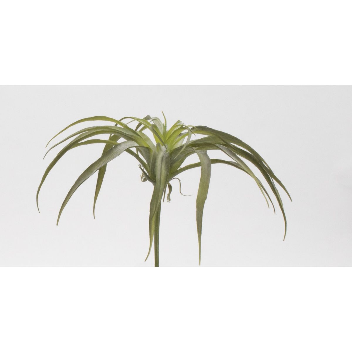 【造花】ビダヤコム/Planeco ティランジア(Ｌ) グリーン/VR24024-024G【01】[6本] 造花 アーティフィシャルフラワー 葉物、フェイクグリーン 多肉植物人工 フラワーアレンジ花材 おしゃれ ハンドメイド材料 クラフト素材 装飾 ディスプレイ 夏