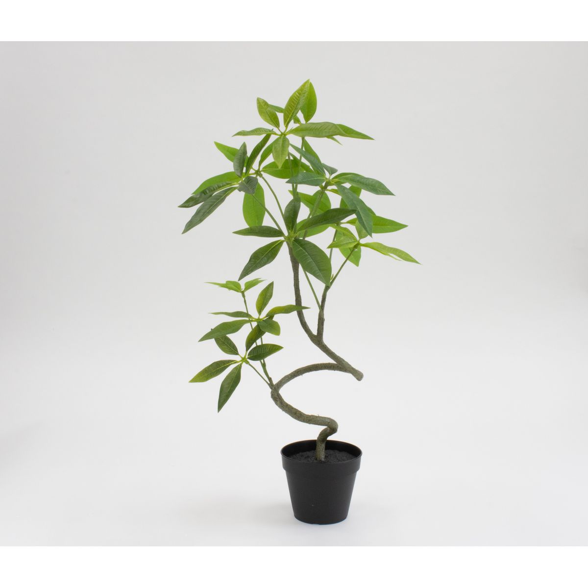 【直送】【人工観葉植物】ビダヤコム/Planeco スパイラルパキラポット(S)/VR24050-024G ※返品代引キャンセル不可【01】 造花 葉物 フェイクグリーン 人工観葉植物 人工樹木 高さ~100cmおしゃれ インテリア 店舗 オフィス 装飾 ディスプレイ|花材通販はなどんやアソシエ