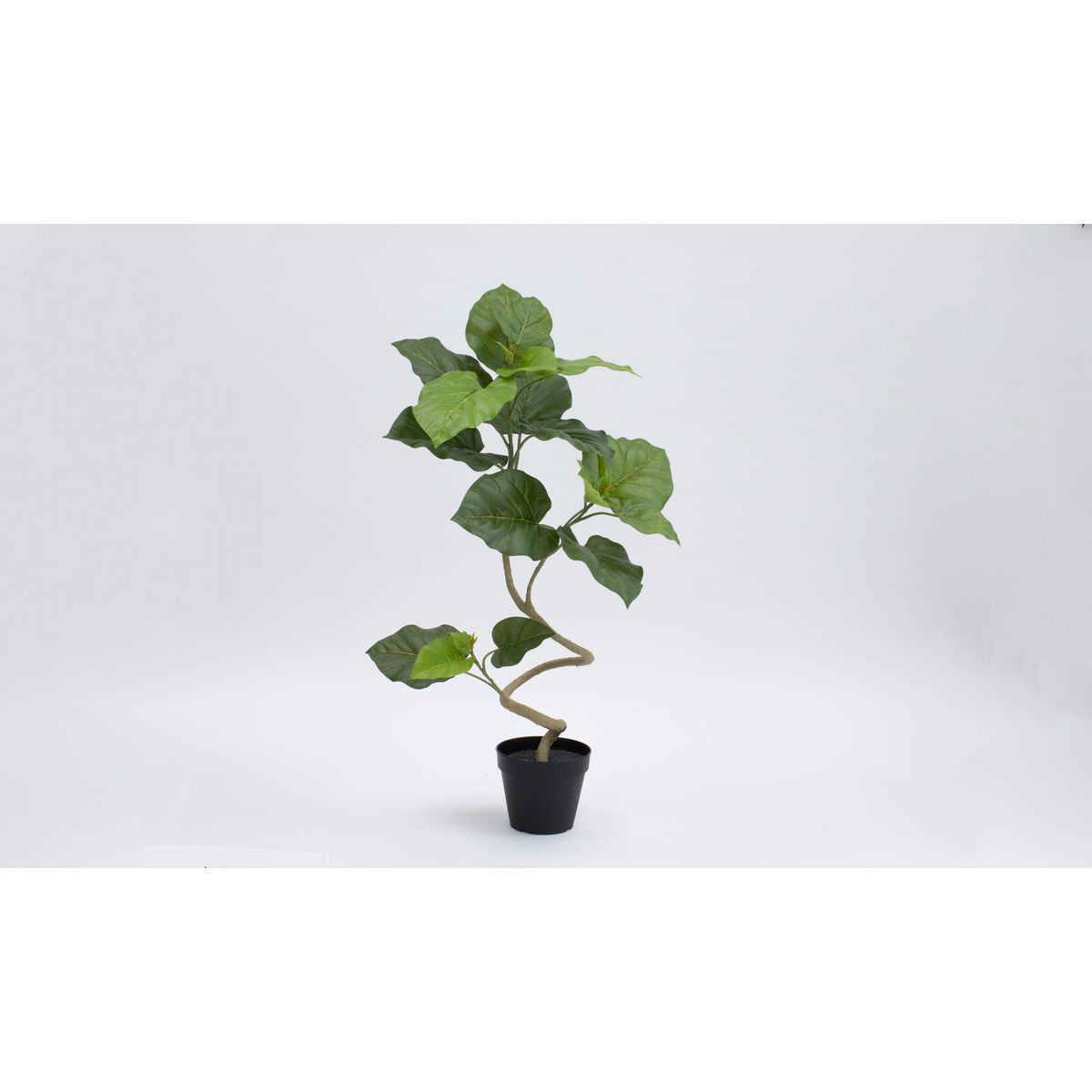 【直送】【人工観葉植物】ビダヤコム/PlanecoスパイラルウンベラータポットS/VR24051-024G※返品代引キャンセル不可【01】 造花 葉物 フェイクグリーン 人工観葉植物 人工樹木 高さ～100cmおしゃれ インテリア 店舗 オフィス 装飾 ディスプレイ 11,233円