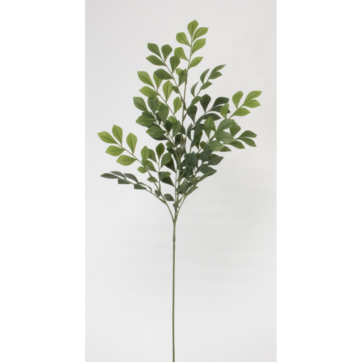 【造花】ビダヤコム/Planeco トネリコスプレー グリーン/VR24176-024G【01】[12本] 造花 アーティフィシャルフラワー 枝物 その他の造花枝物フェイクフラワー フラワーアレンジ花材 おしゃれ ハンドメイド材料 クラフト素材 装飾 ディスプレイ 夏｜花材通販はなどんやアソシエ