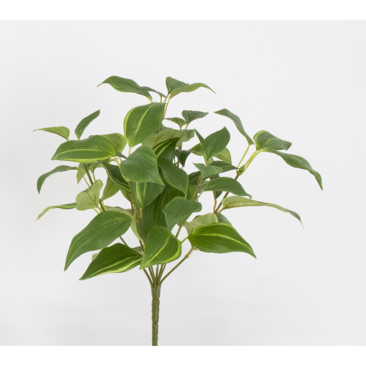 【造花】ビダヤコム/Planeco トラディスカンティアブッシュ グリーン/VR25073-024G【01】[12本] 造花 アーティフィシャルフラワー フェイクグリーン、造花葉物 トラディスカンティア人工観葉植物 おしゃれ フラワーアレンジ花材 ハンドメイド材料 19,800円