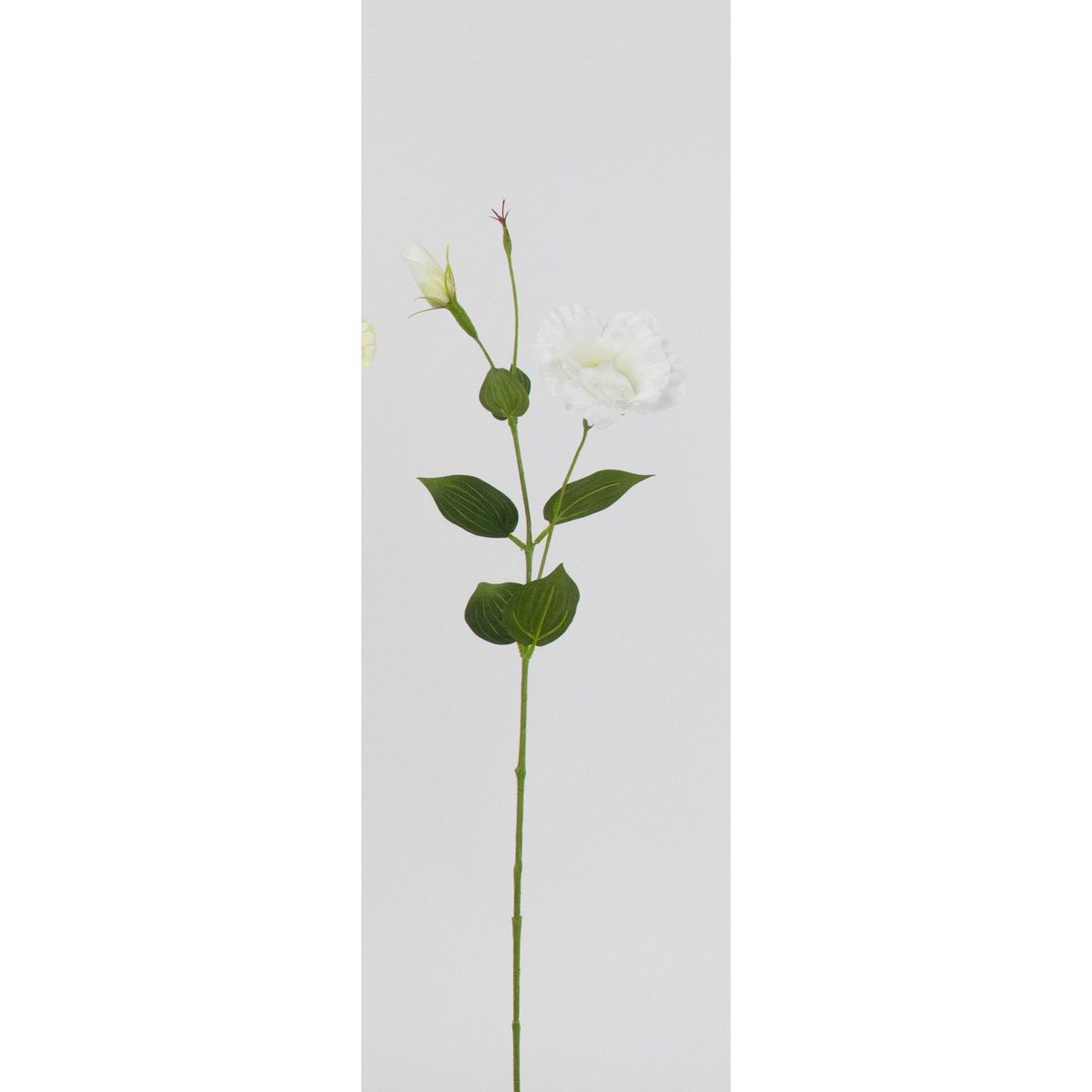 【造花】ビダヤコム/トルコキキョウ ホワイト/V26093-001W【01】[24本] 造花（アーティフィシャルフラワー） トルコキキョウ トルコギキョウ フェイクフラワー シルクフラワー インテリア 花材 資材 ディスプレイ 装飾 アレンジメント ブーケ