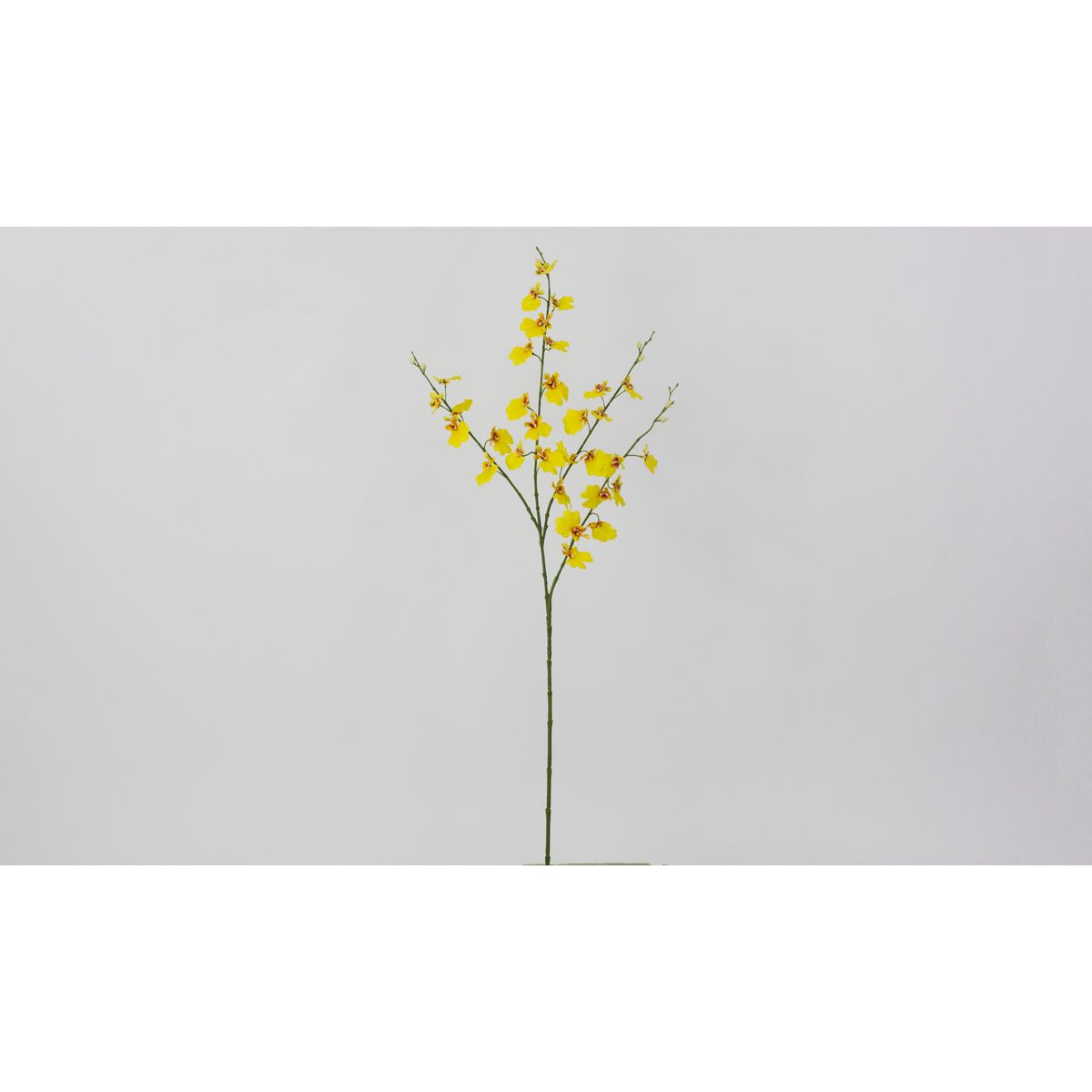 【造花】ビダヤコム/オンシジウム イエロー/V26024-004Y【01】[12本] 造花 アーティフィシャルフラワー オンシジュームフェイクフラワー フラワーアレンジ花材 おしゃれ ハンドメイド材料 クラフト素材 装飾 ディスプレイ 春 夏 お供え お正月｜花材通販はなどんやアソシエ