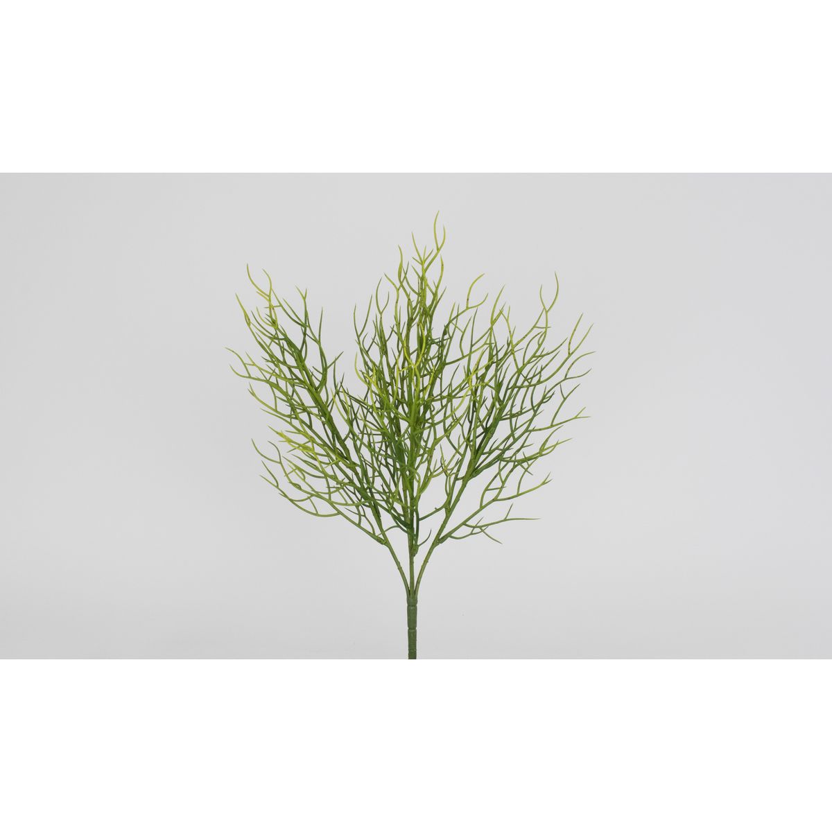 ハート型原材料と愛の花ことば特集 造花・人工観葉植物-花・観葉植物