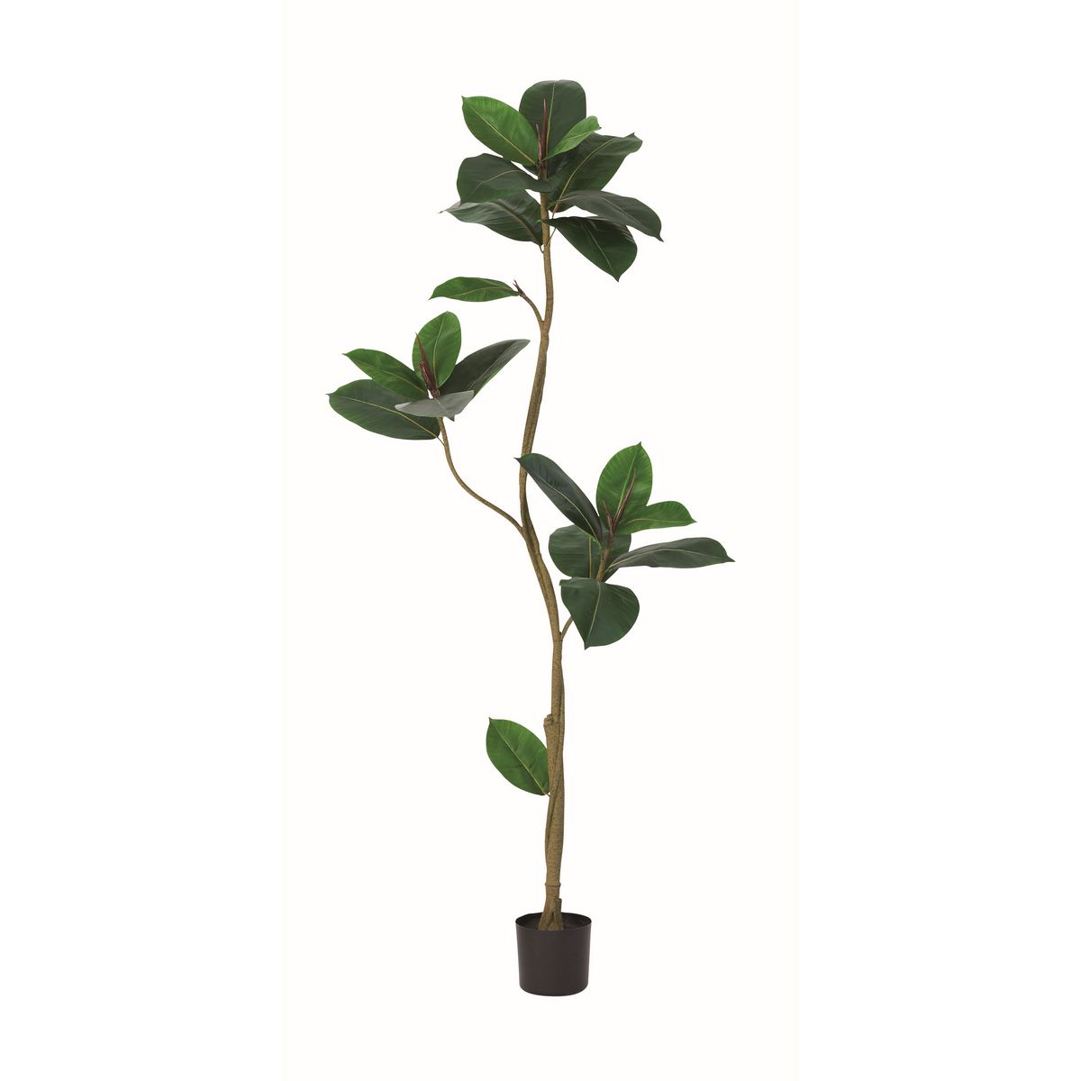 【直送】【人工観葉植物】アスカ/ゴムの木(ポット付)/A-51161-51A ※返品・代引・キャンセル不可【01】 造花 葉物 フェイクグリーン 人工観葉植物 人工樹木 高さ～150cmおしゃれ インテリア 店舗 オフィス 装飾 ディスプレイ