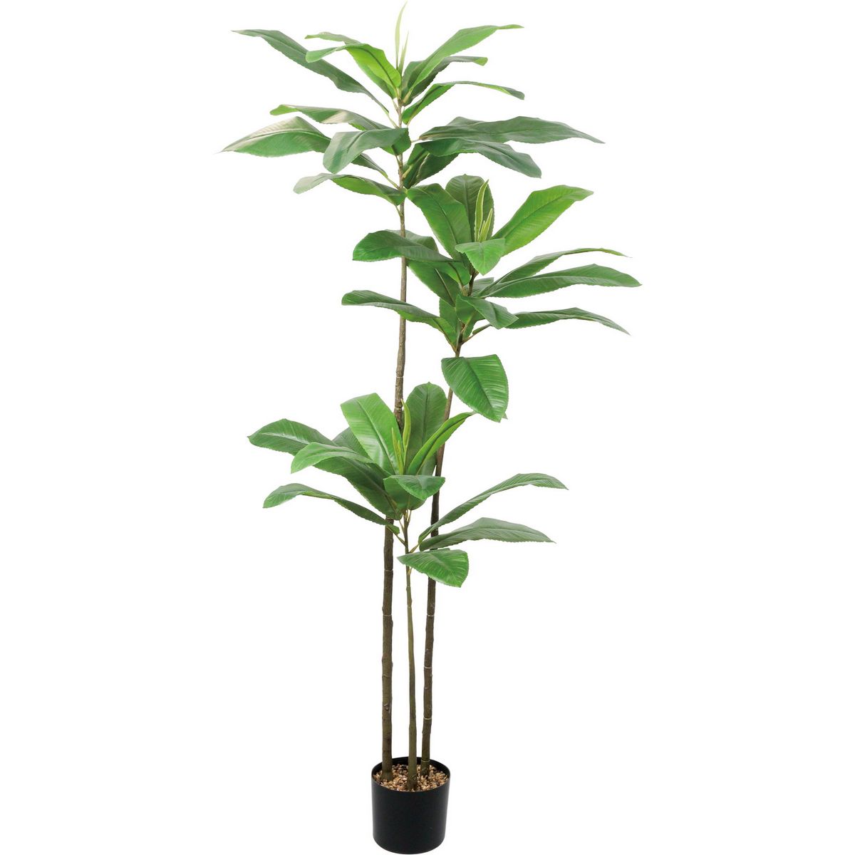 【直送】【人工観葉植物】YDM/180cmエレファントアップル/GLP-1590GR ※返品・代引・キャンセル不可【01】 造花 葉物 フェイクグリーン 人工観葉植物 人工樹木 高さ～200cmおしゃれ インテリア 店舗 オフィス 装飾 ディスプレイ